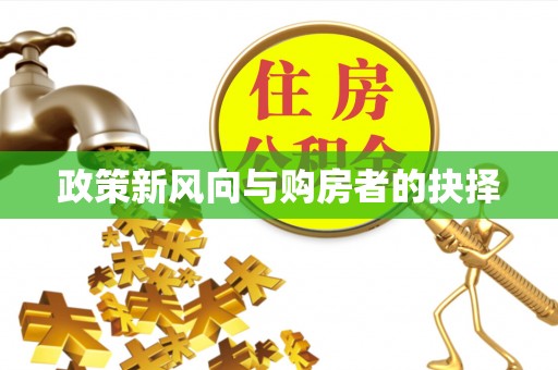 理县政策新风向与购房者的抉择