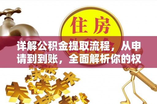 理县详解公积金提取流程，从申请到到账，全面解析你的权益与操作步骤