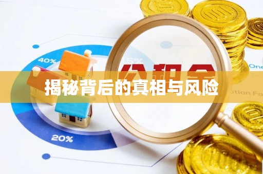 理县揭秘背后的真相与风险