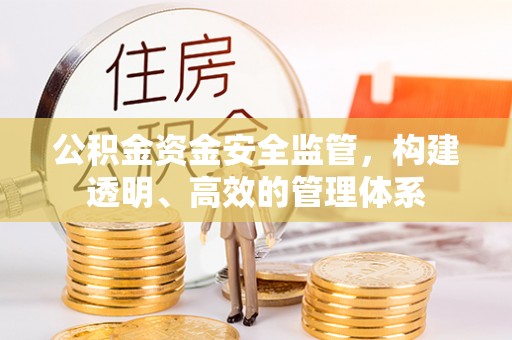 理县公积金资金安全监管，构建透明、高效的管理体系