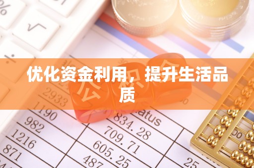 理县优化资金利用，提升生活品质
