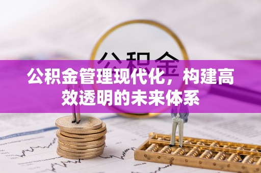 理县公积金管理现代化，构建高效透明的未来体系