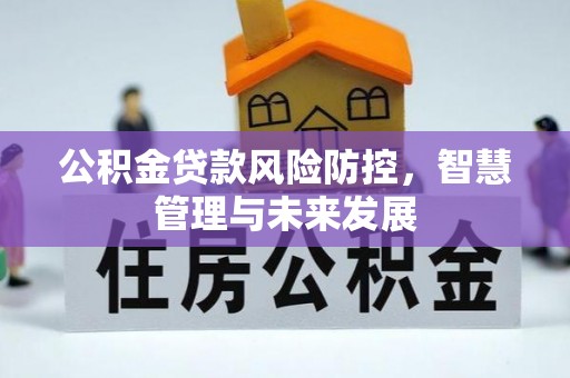 理县公积金贷款风险防控，智慧管理与未来发展