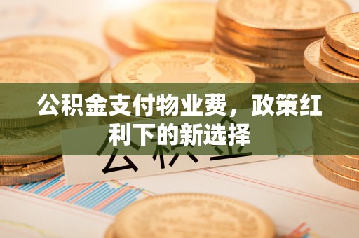 理县公积金支付物业费，政策红利下的新选择