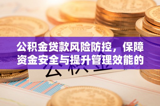 理县公积金贷款风险防控，保障资金安全与提升管理效能的多维度探索
