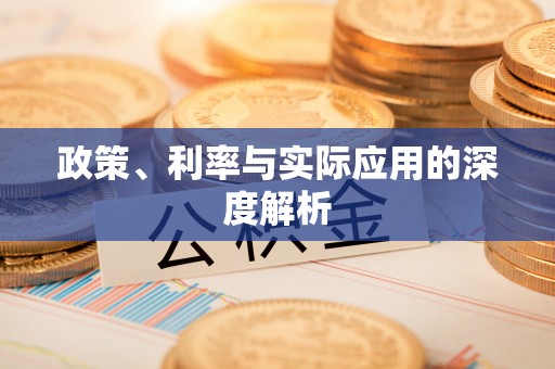 理县政策、利率与实际应用的深度解析