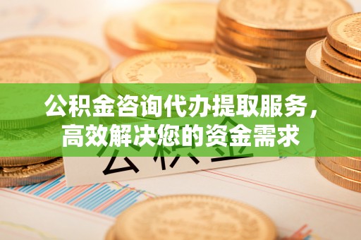 理县公积金咨询代办提取服务，高效解决您的资金需求