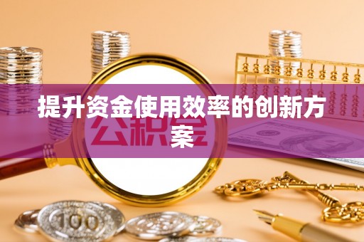 理县提升资金使用效率的创新方案