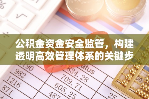 理县公积金资金安全监管，构建透明高效管理体系的关键步骤
