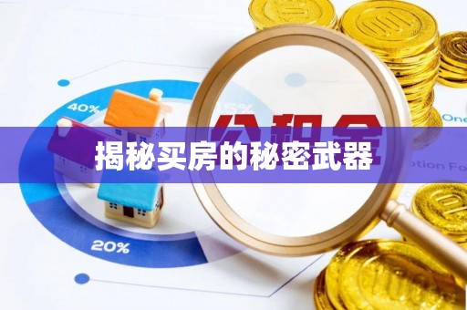 理县揭秘买房的秘密武器