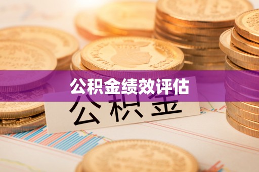 理县公积金绩效评估