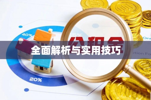 理县全面解析与实用技巧