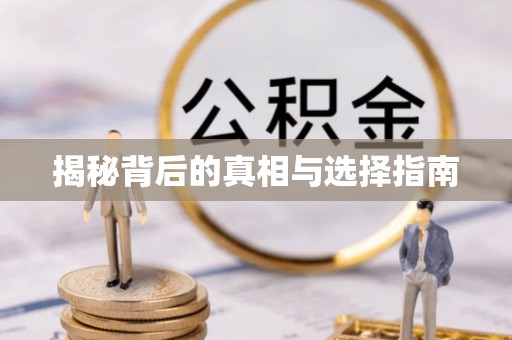 理县揭秘背后的真相与选择指南