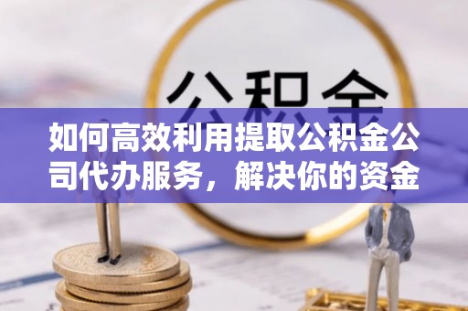 理县如何高效利用提取公积金公司代办服务，解决你的资金难题