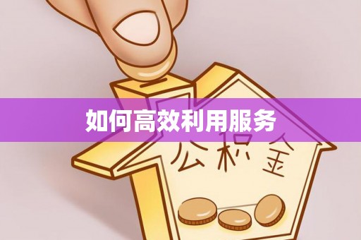 理县如何高效利用服务
