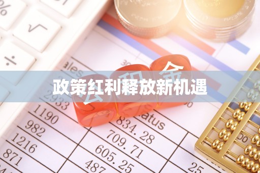 理县政策红利释放新机遇