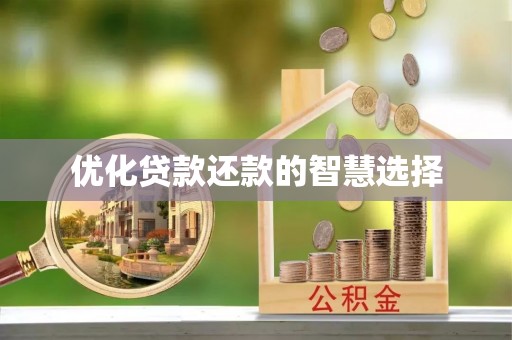 理县优化贷款还款的智慧选择