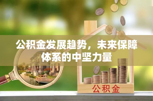 理县公积金发展趋势，未来保障体系的中坚力量