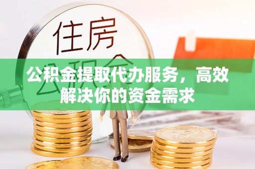 理县公积金提取代办服务，高效解决你的资金需求