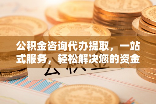 理县公积金咨询代办提取，一站式服务，轻松解决您的资金需求