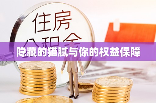 理县隐藏的猫腻与你的权益保障