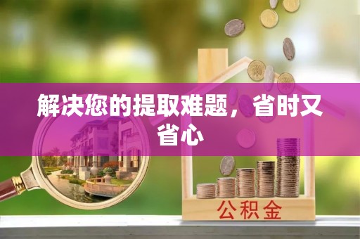 理县解决您的提取难题，省时又省心