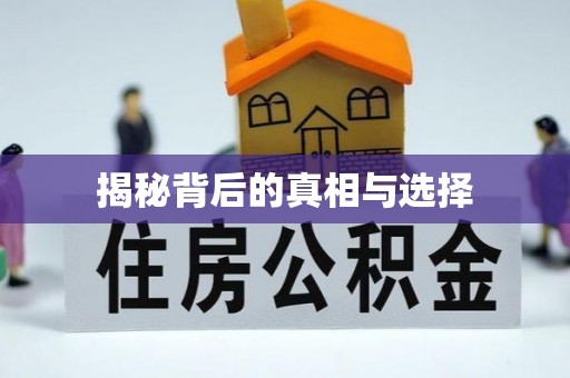 理县揭秘背后的真相与选择