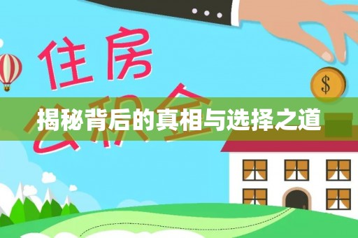 理县揭秘背后的真相与选择之道