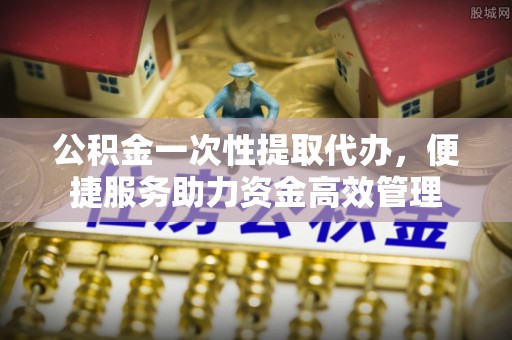 理县公积金一次性提取代办，便捷服务助力资金高效管理