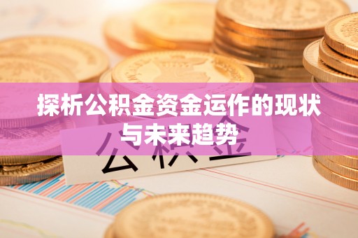 理县探析公积金资金运作的现状与未来趋势