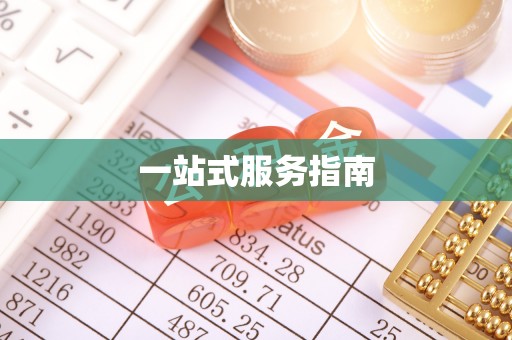 理县一站式服务指南