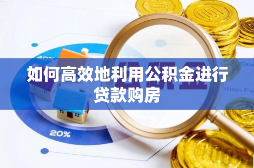 理县如何高效地利用公积金进行贷款购房