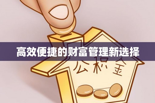 理县高效便捷的财富管理新选择