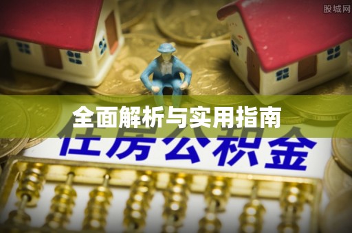 理县全面解析与实用指南