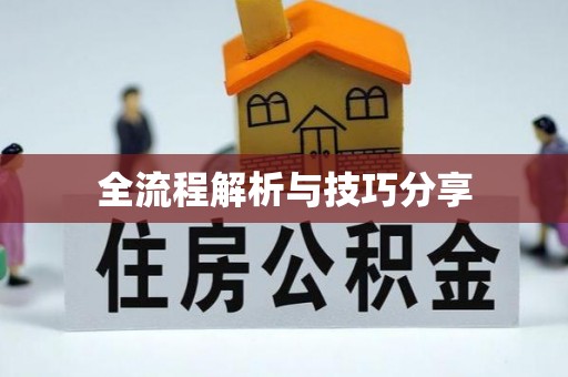 理县全流程解析与技巧分享